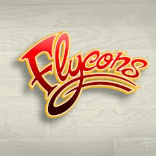 Flycons.jpg